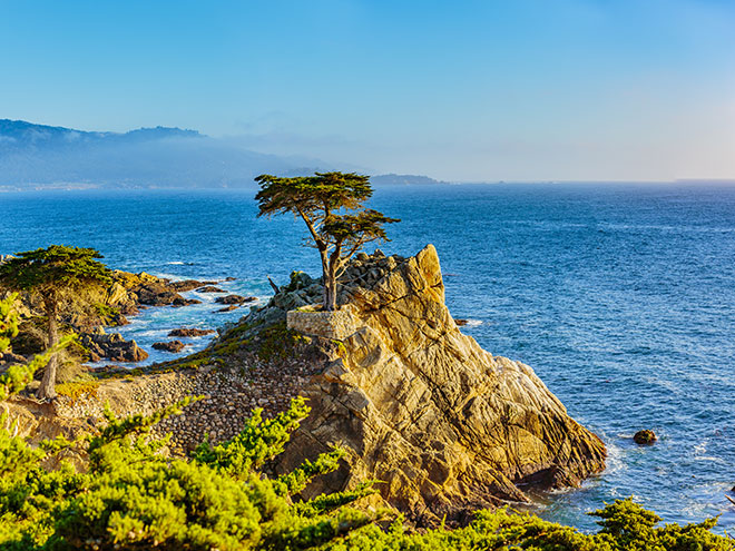 Max of 12 guests per group | 1 Day Tour Across Monterey Peninsula+Carmel