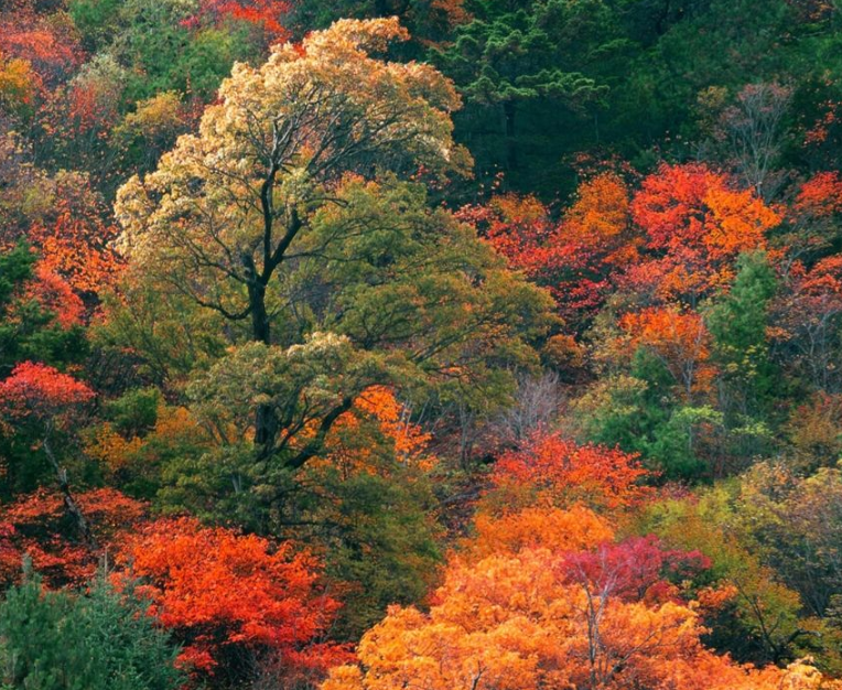 Small Group of 1-6 Guests | Portland+Acadia National Park 3-Day Tour