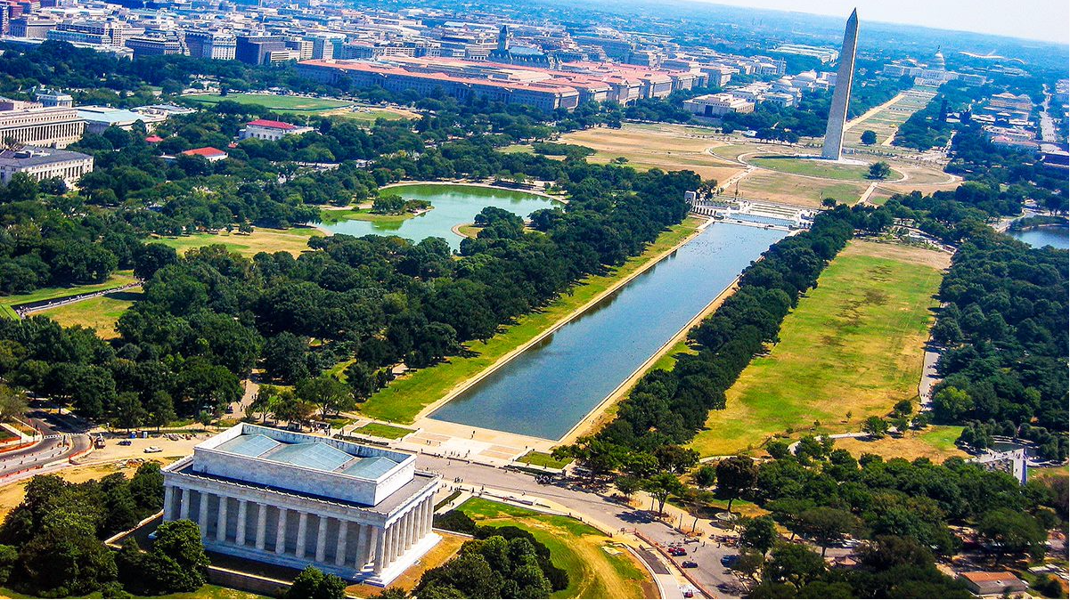 Washington D.C. City Tour + Cherry Blossom Viewing  1-Day Tour