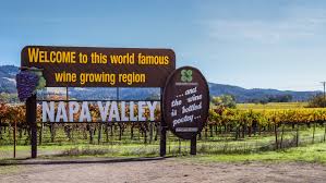 Napa & Sonoma Wine Country 1 Day Tour