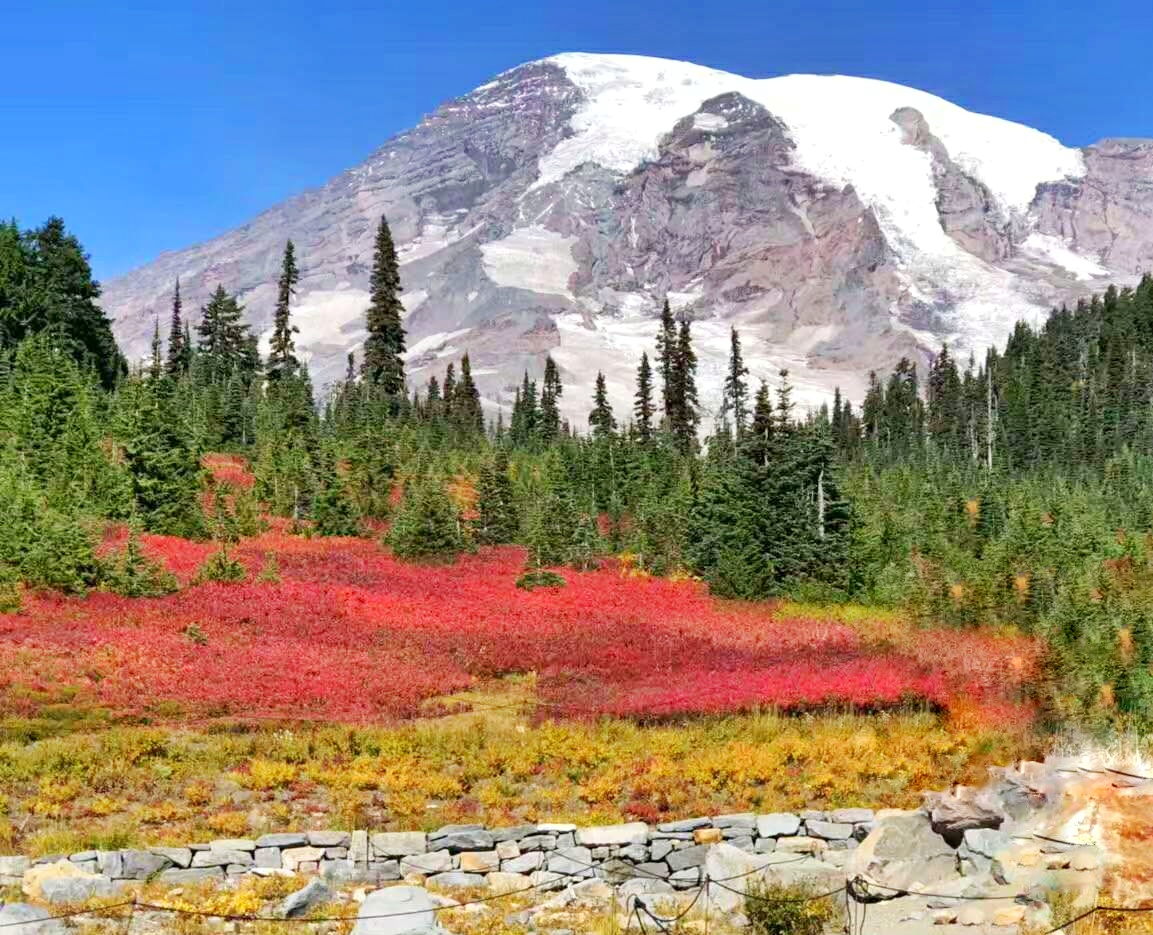 Mount Rainier National Park 1-Day Tour (Small Group of Less Than 12 Guests)