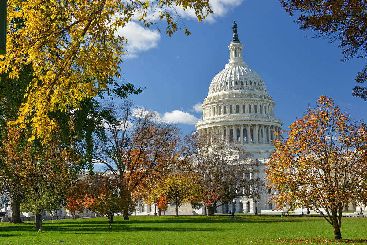 Full-Day Washington DC Tour with Mount Vernon Visit