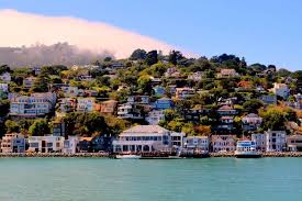 Max of 12 guests per group | Muir Woods National Monument 1-Day Tour